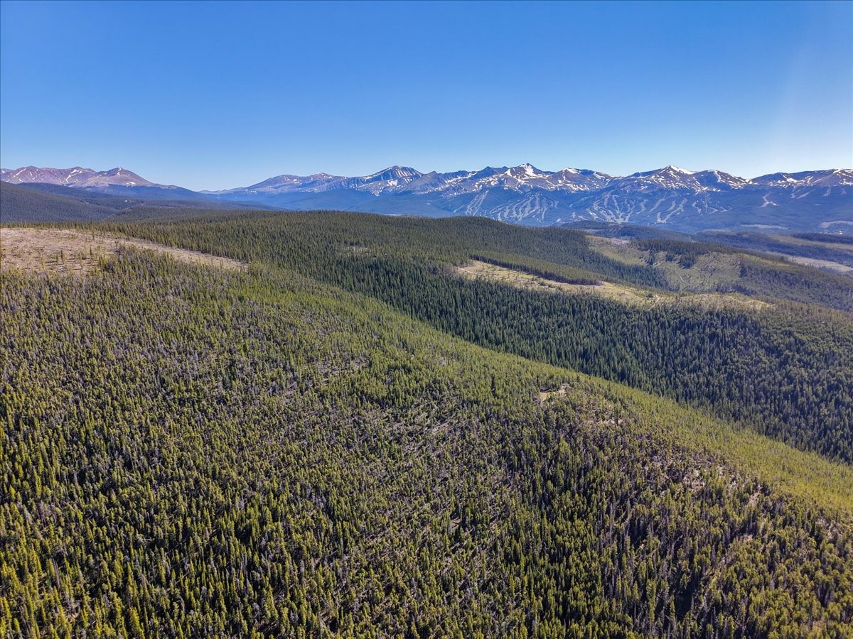 Tbd Summit Gulch Road Breckenridge CO 80424