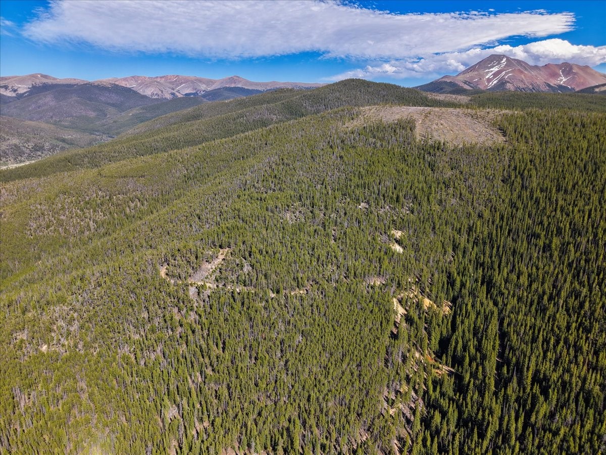 Tbd Summit Gulch Road Breckenridge CO 80424