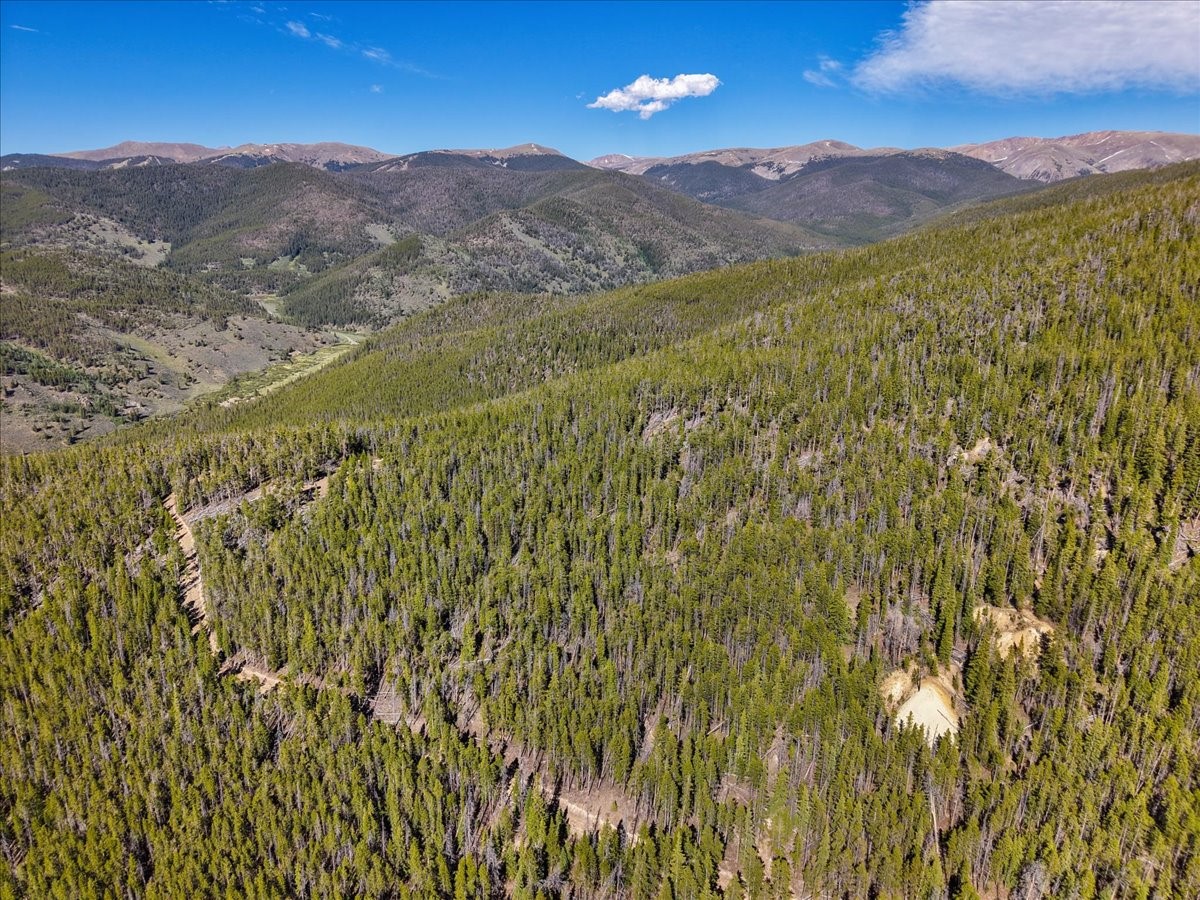Tbd Summit Gulch Road Breckenridge CO 80424