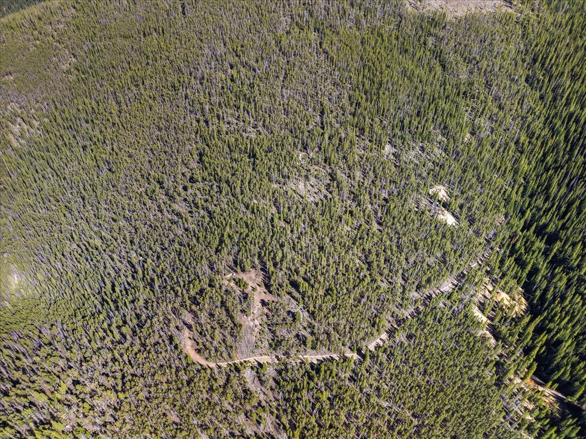 Tbd Summit Gulch Road Breckenridge CO 80424