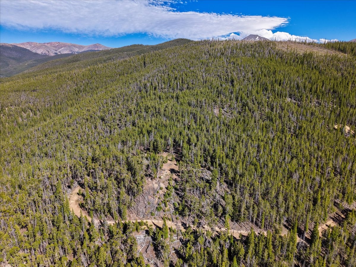 Tbd Summit Gulch Road Breckenridge CO 80424