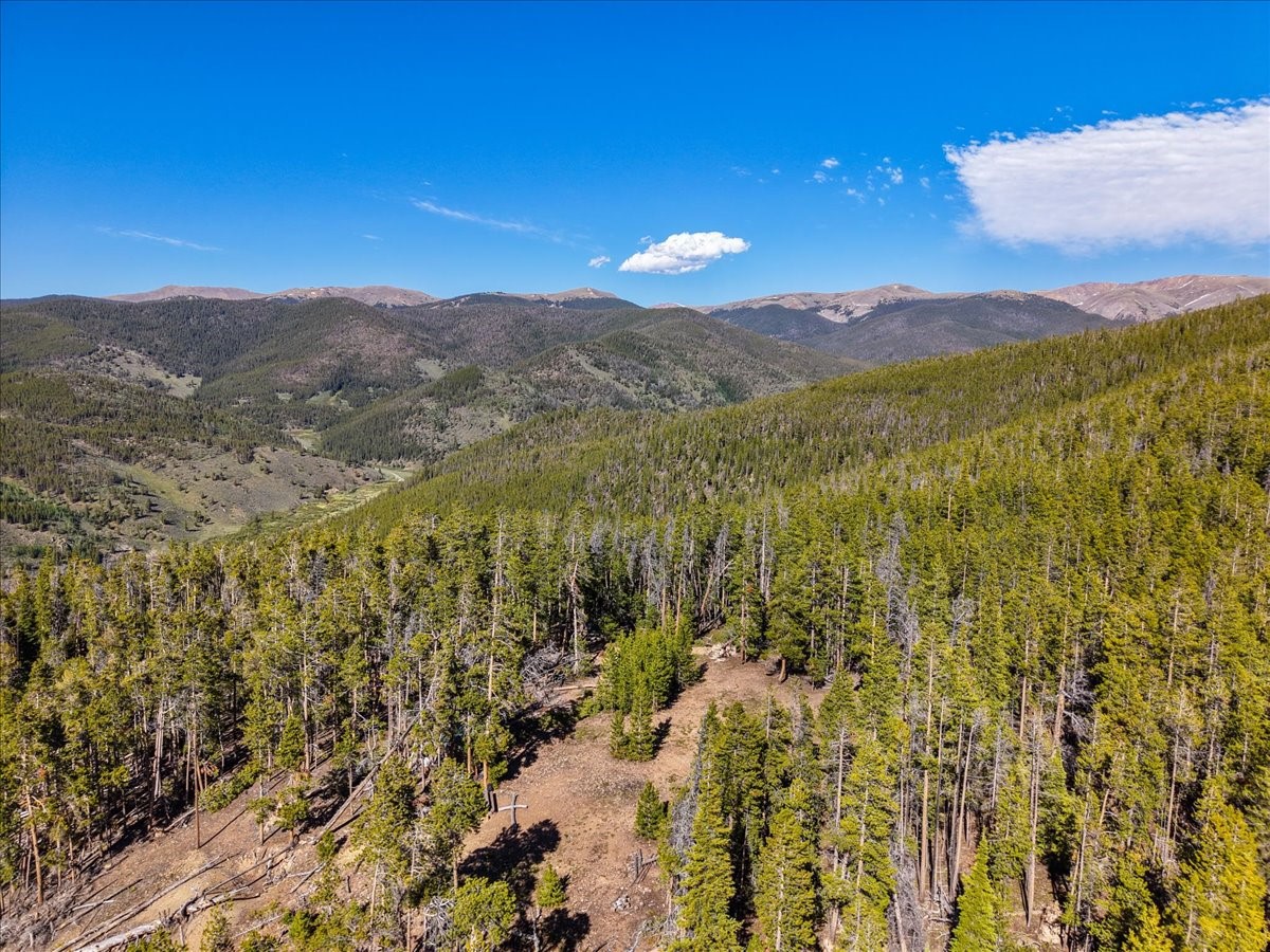 Tbd Summit Gulch Road Breckenridge CO 80424