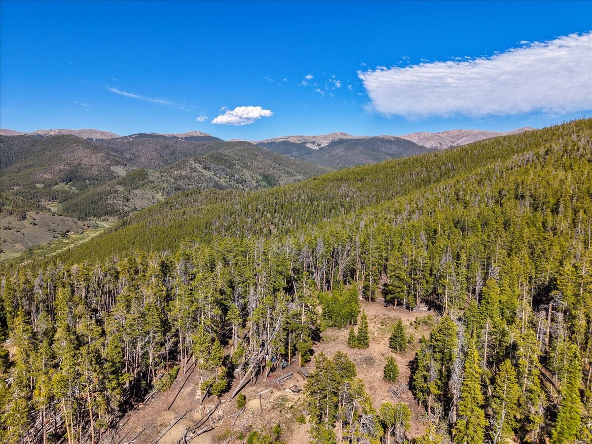 Tbd Summit Gulch Road Breckenridge CO 80424