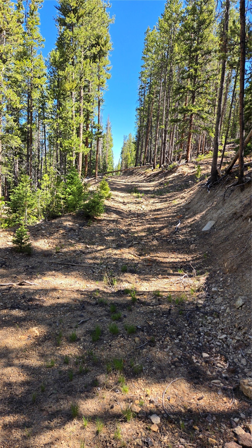 Tbd Summit Gulch Road Breckenridge CO 80424