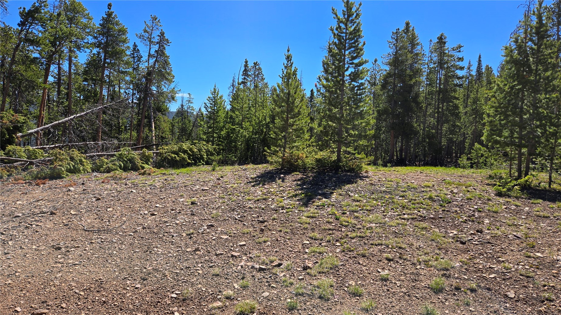 Tbd Summit Gulch Road Breckenridge CO 80424