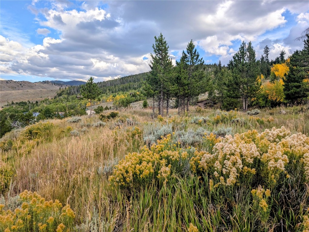 Tbd W Ridgeway Avenue Hot Sulphur CO 80451