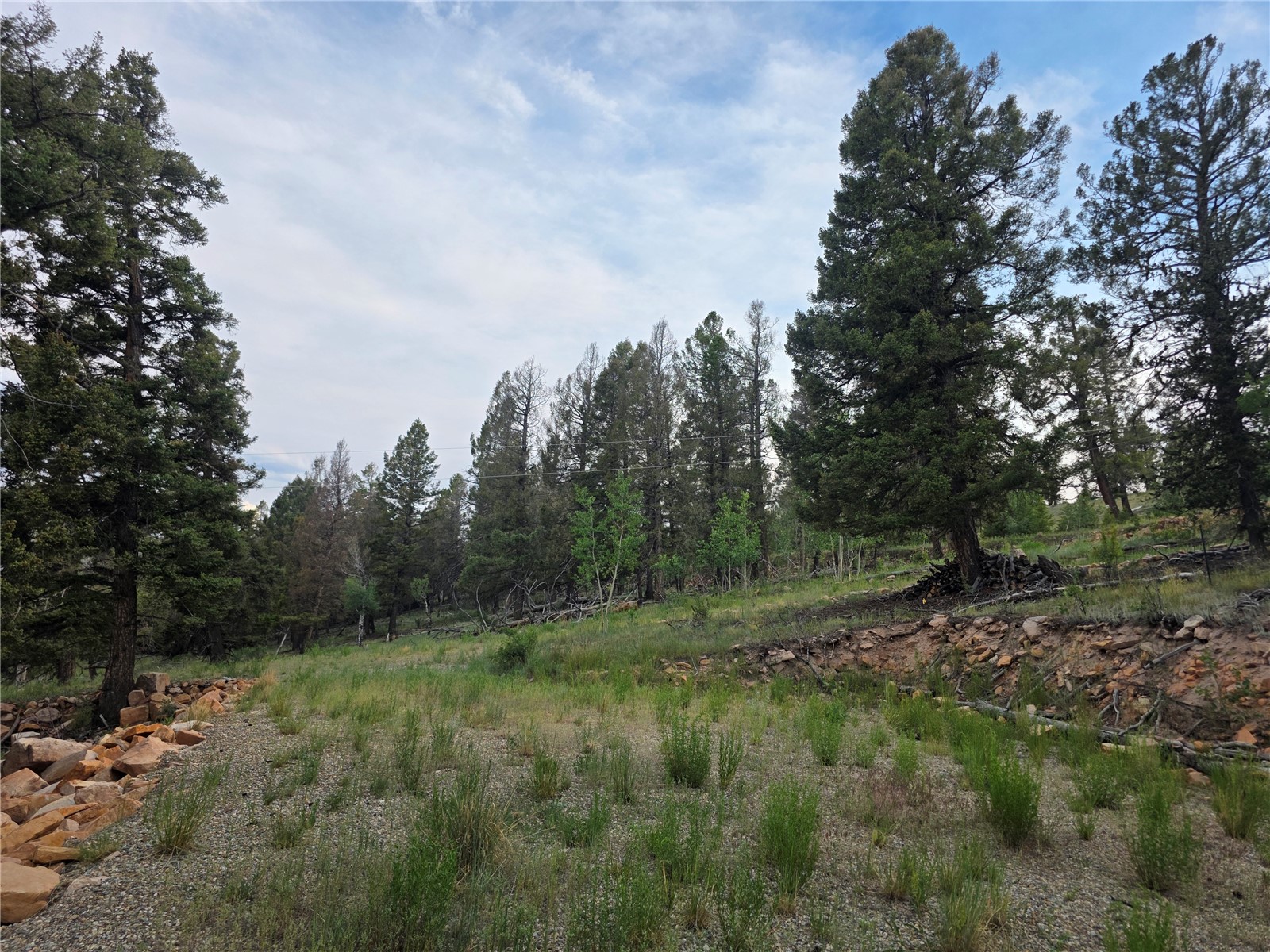 5410 Middle Fork Fairplay CO 80440