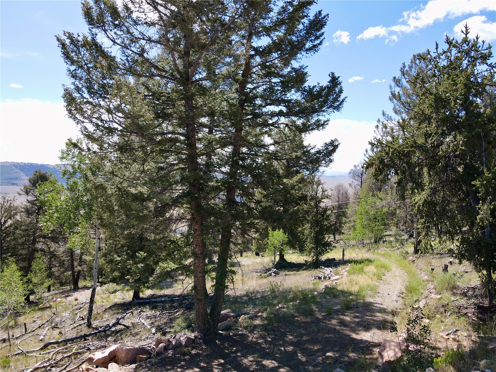 5410 Middle Fork Fairplay CO 80440