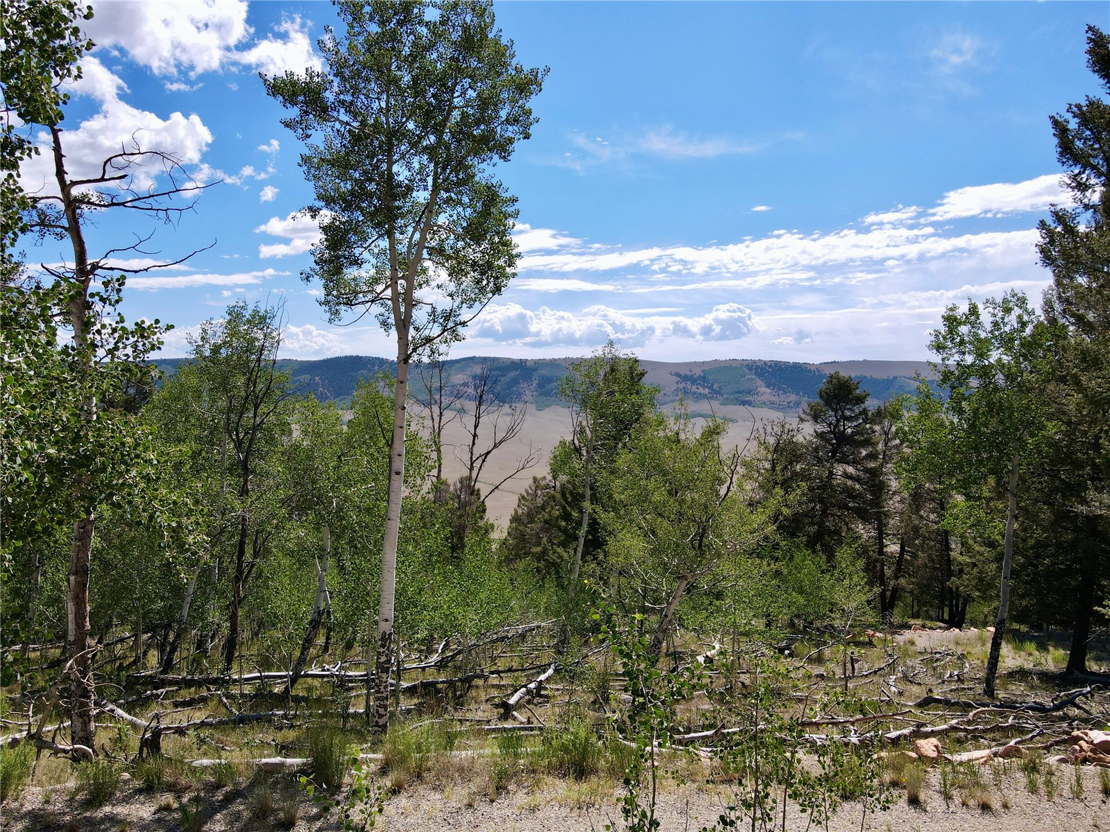5410 Middle Fork Fairplay CO 80440