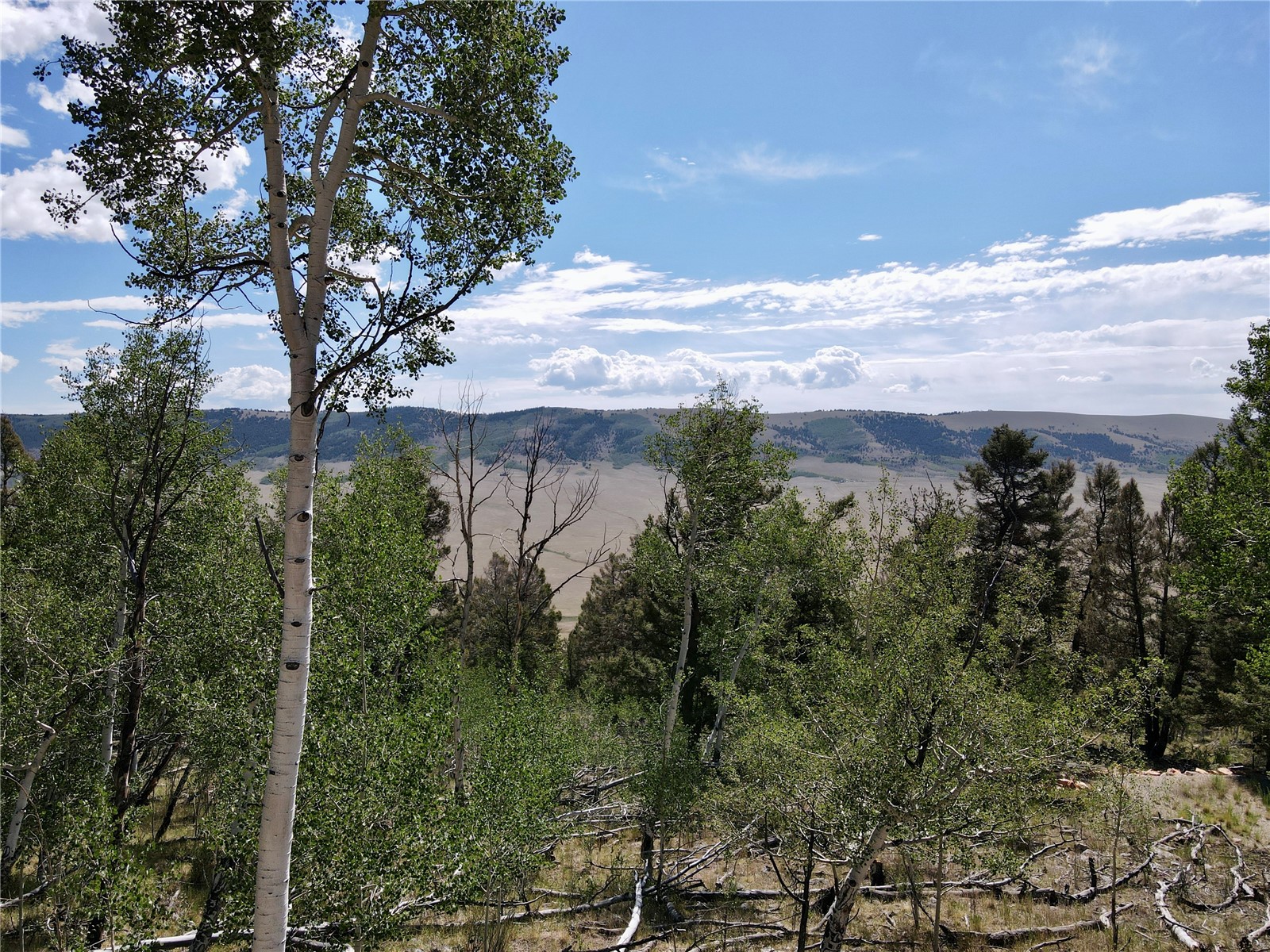 5410 Middle Fork Fairplay CO 80440