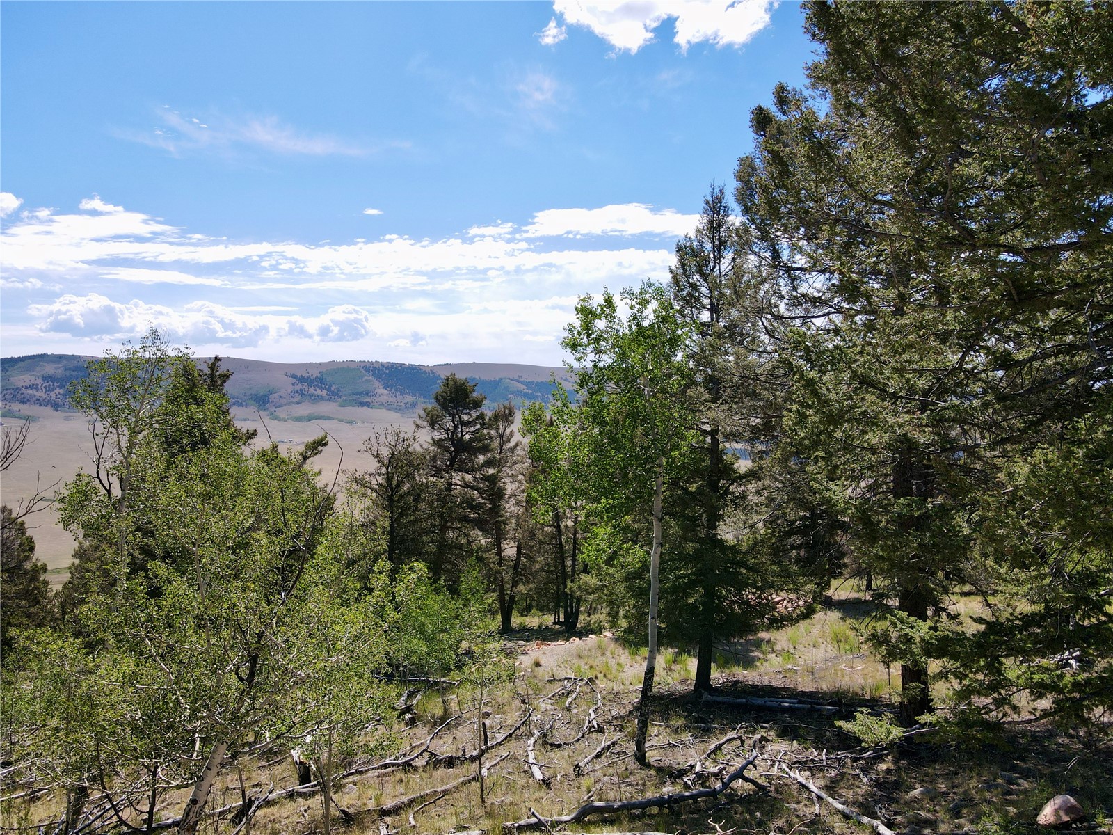 5410 Middle Fork Fairplay CO 80440