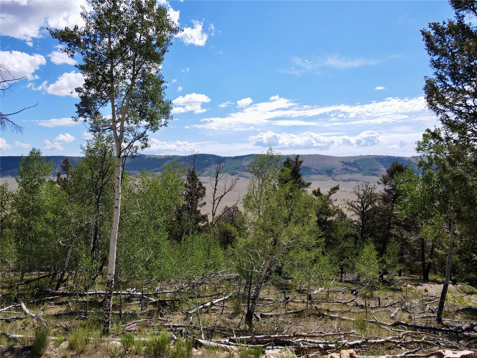 5410 Middle Fork Fairplay CO 80440