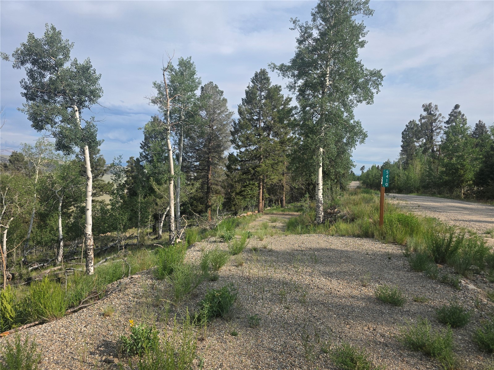 5410 Middle Fork Fairplay CO 80440
