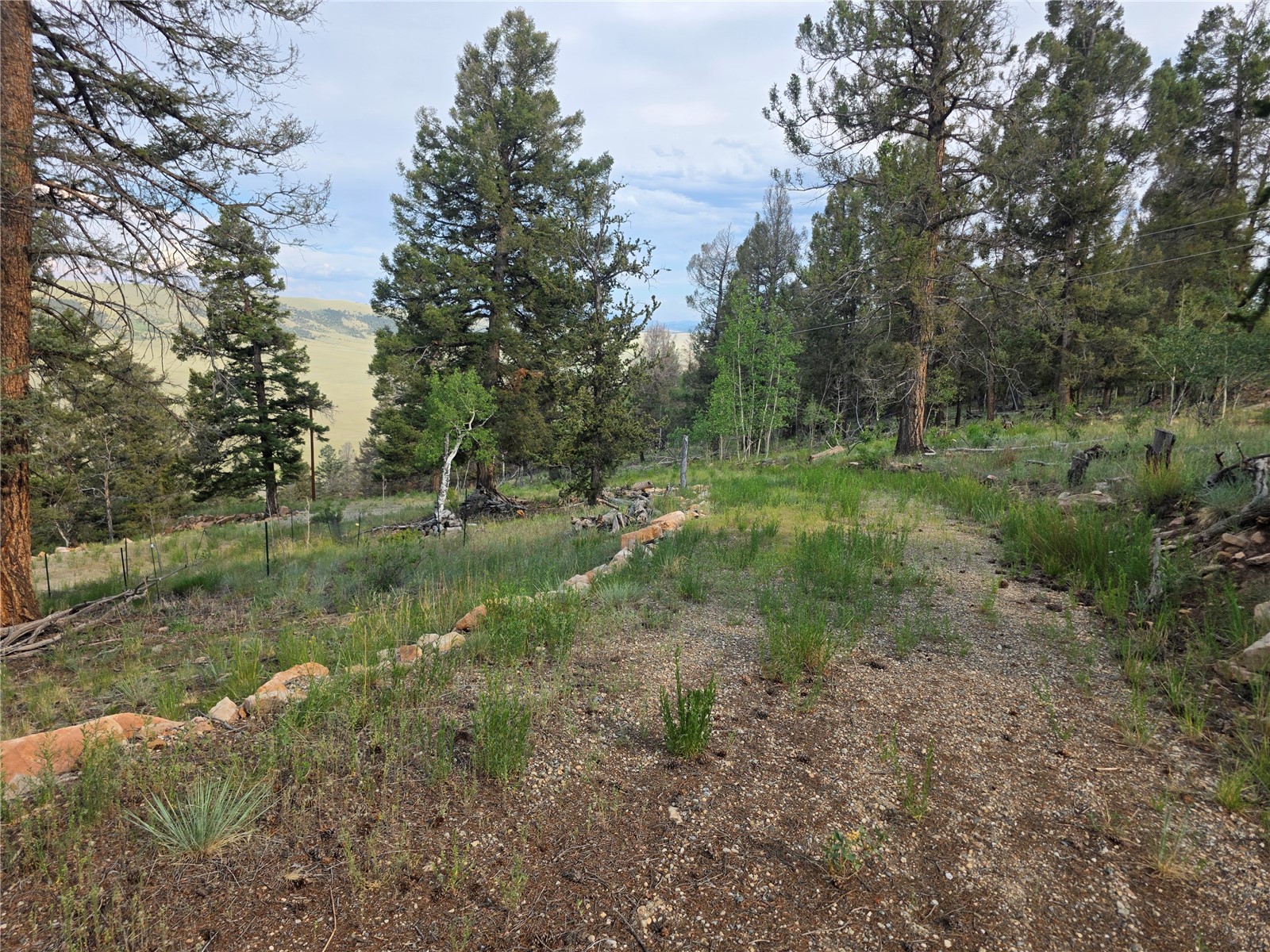 5410 Middle Fork Fairplay CO 80440