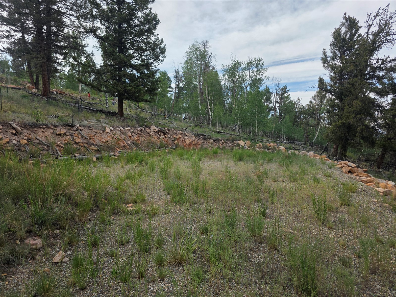 5410 Middle Fork Fairplay CO 80440