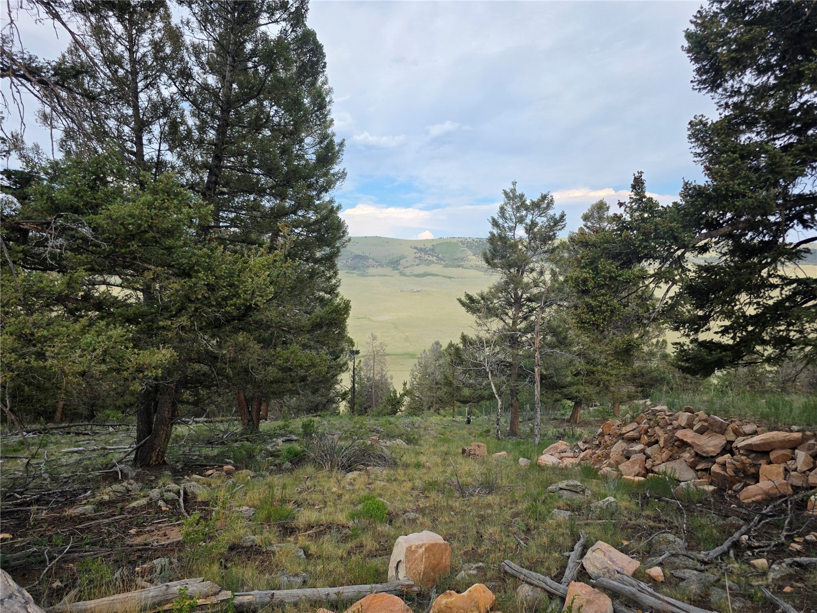 5410 Middle Fork Fairplay CO 80440