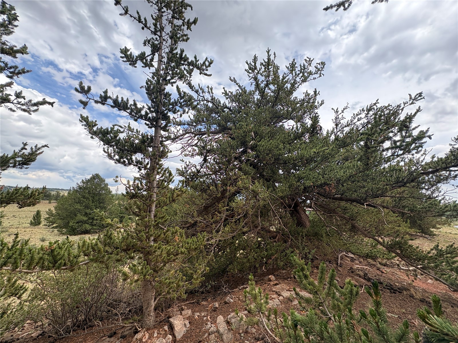 1344 Silverheels Road Fairplay CO 80440