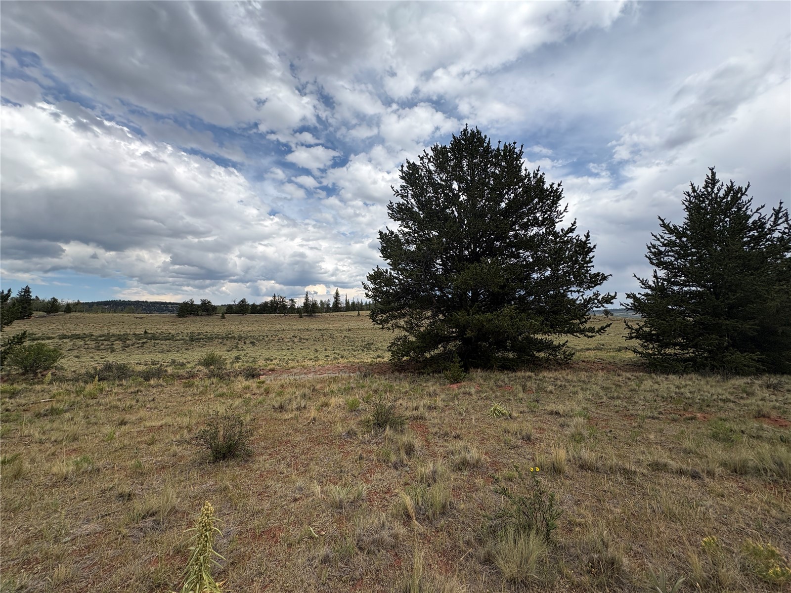 1344 Silverheels Road Fairplay CO 80440
