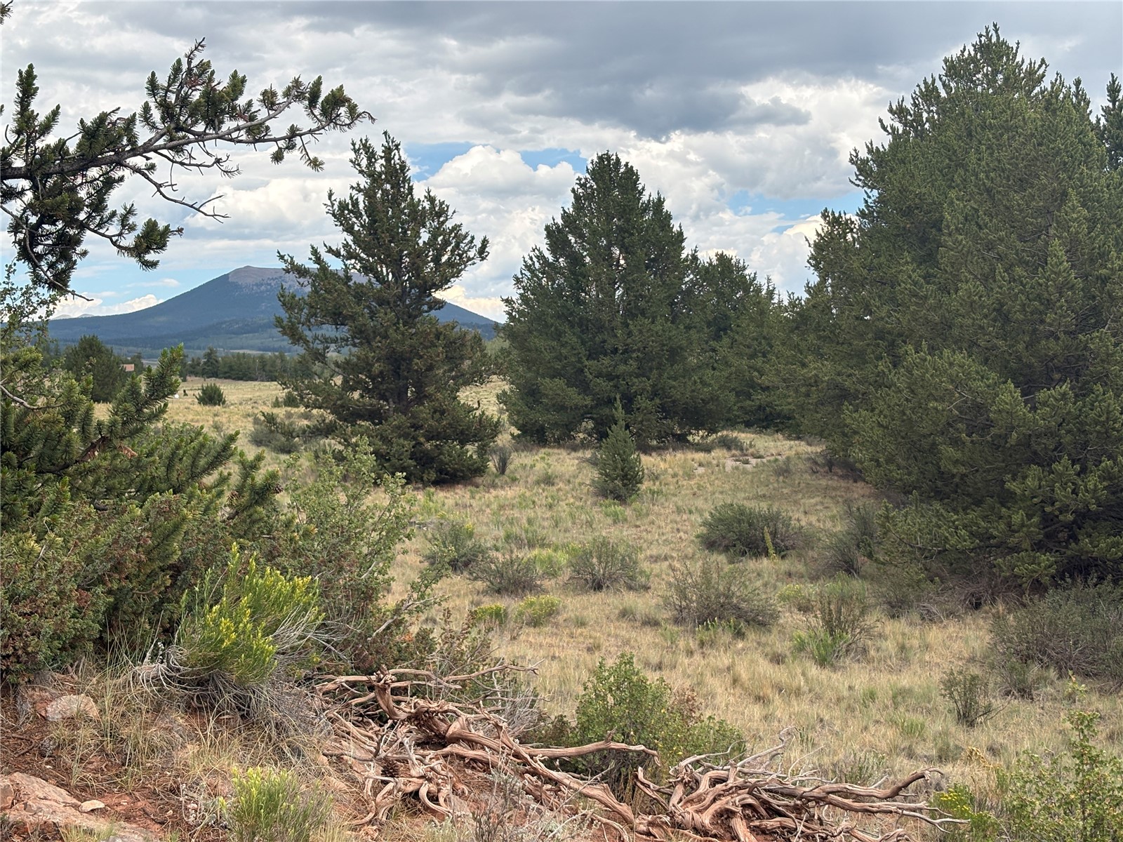 1344 Silverheels Road Fairplay CO 80440