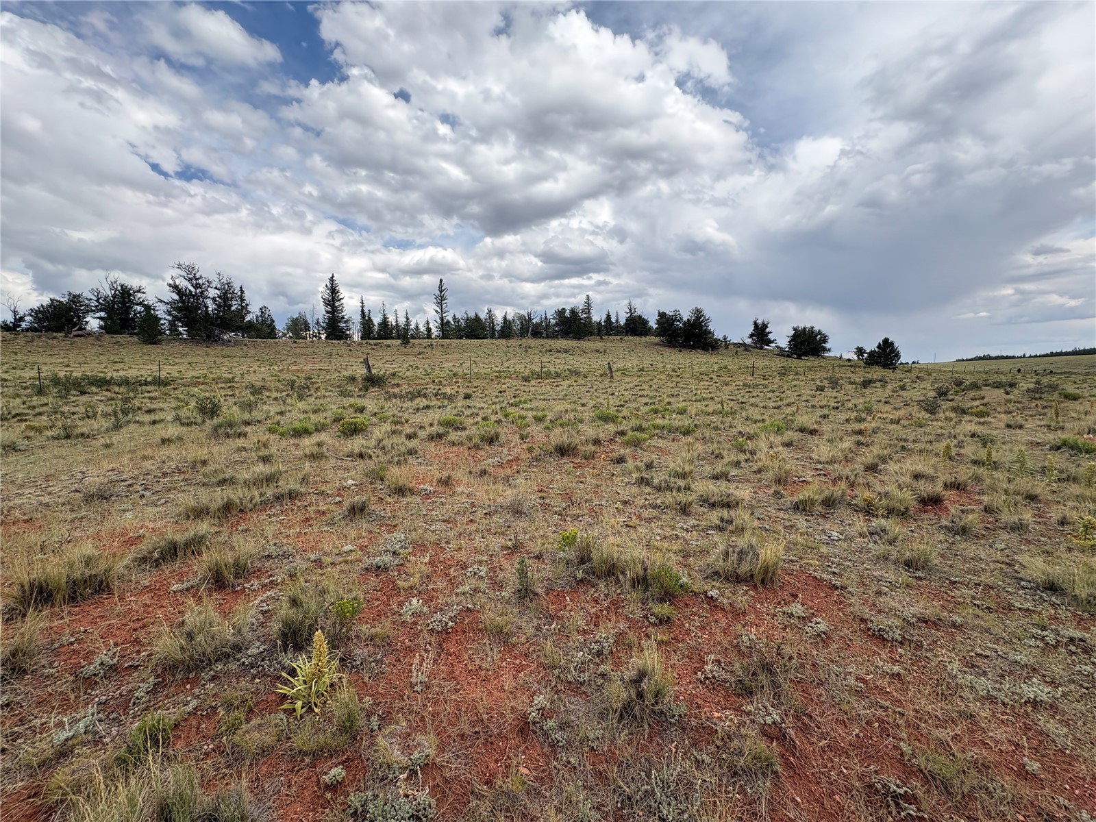 1344 Silverheels Road Fairplay CO 80440