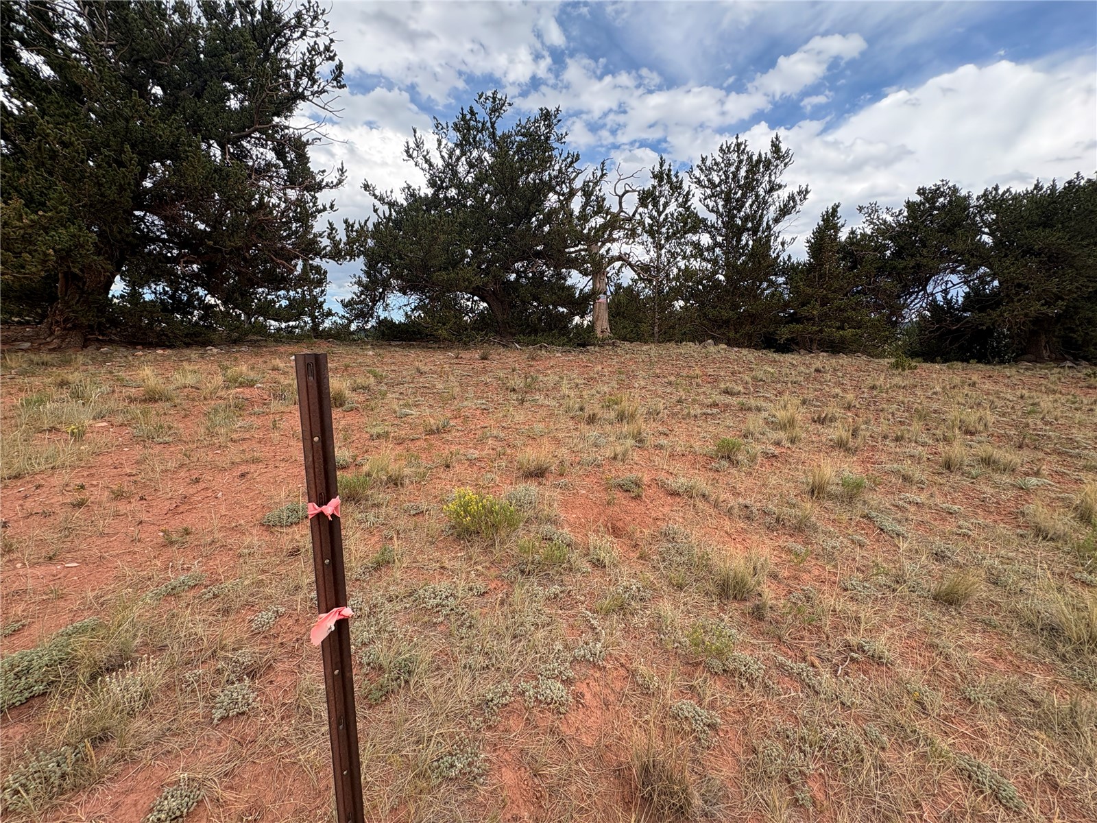 1344 Silverheels Road Fairplay CO 80440