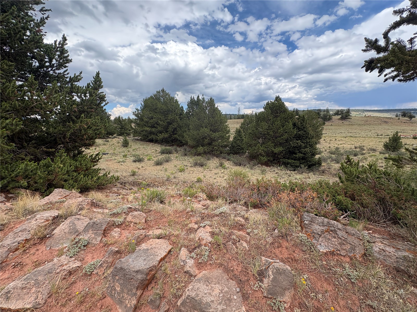 1344 Silverheels Road Fairplay CO 80440