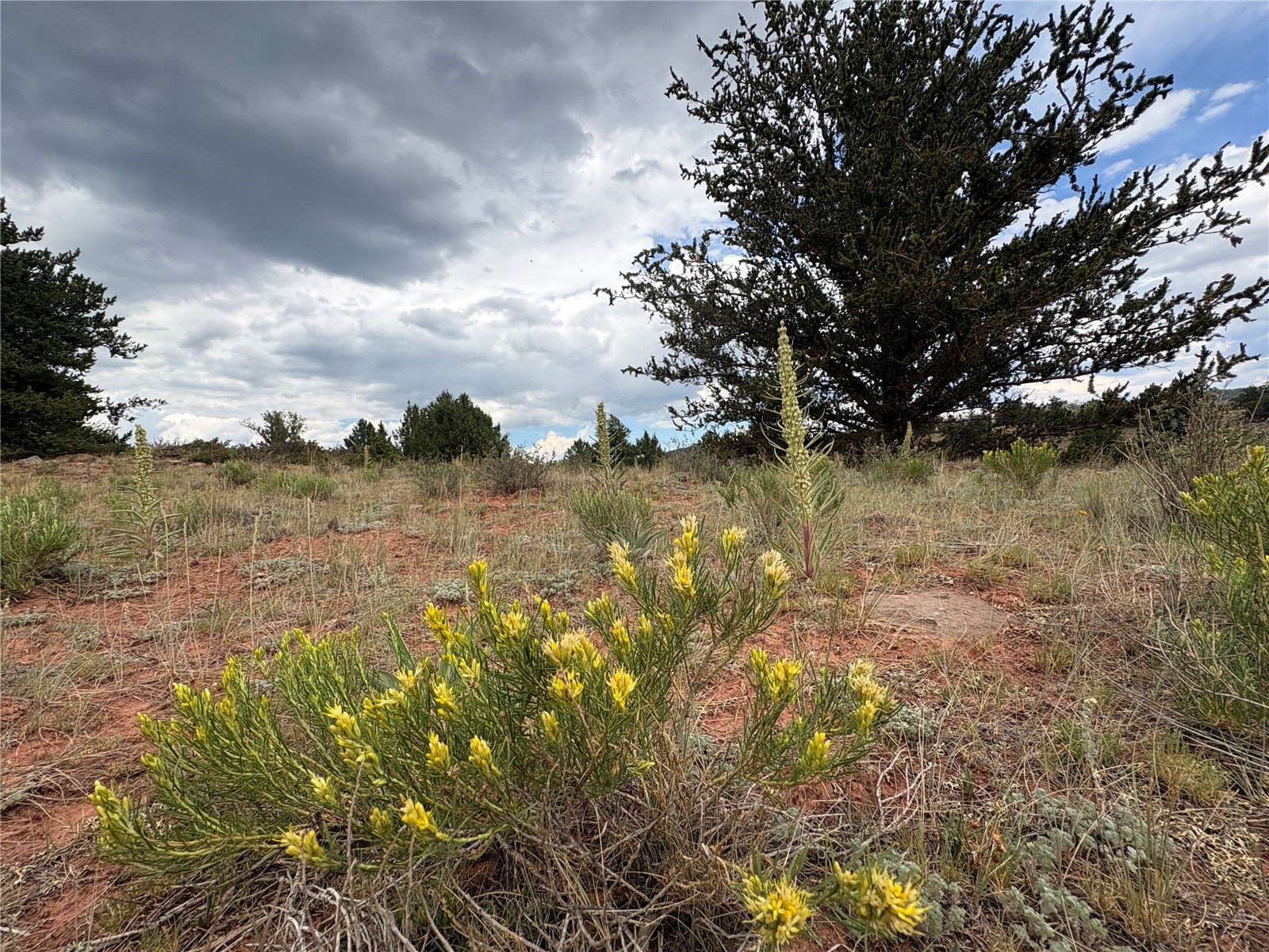 1344 Silverheels Road Fairplay CO 80440