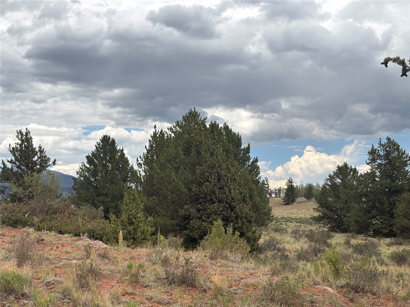 1344 Silverheels Road Fairplay CO 80440