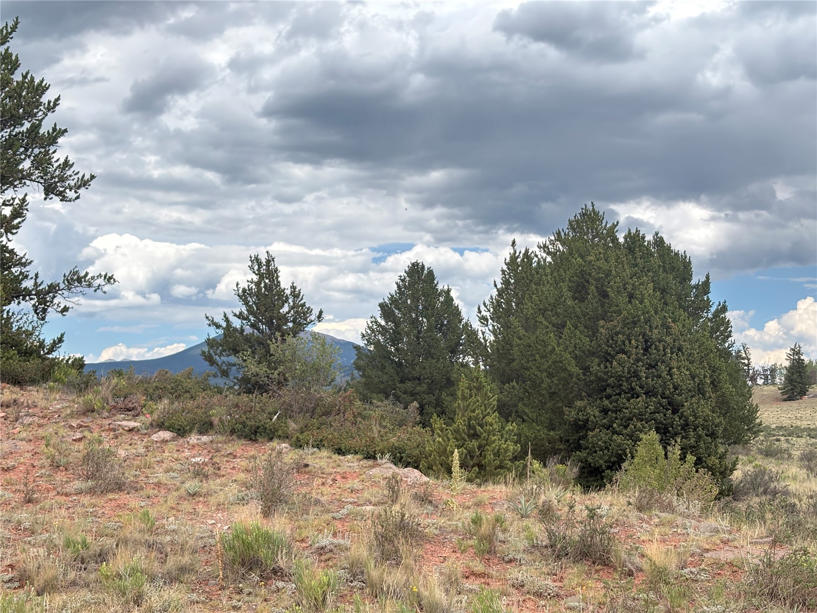 1344 Silverheels Road Fairplay CO 80440