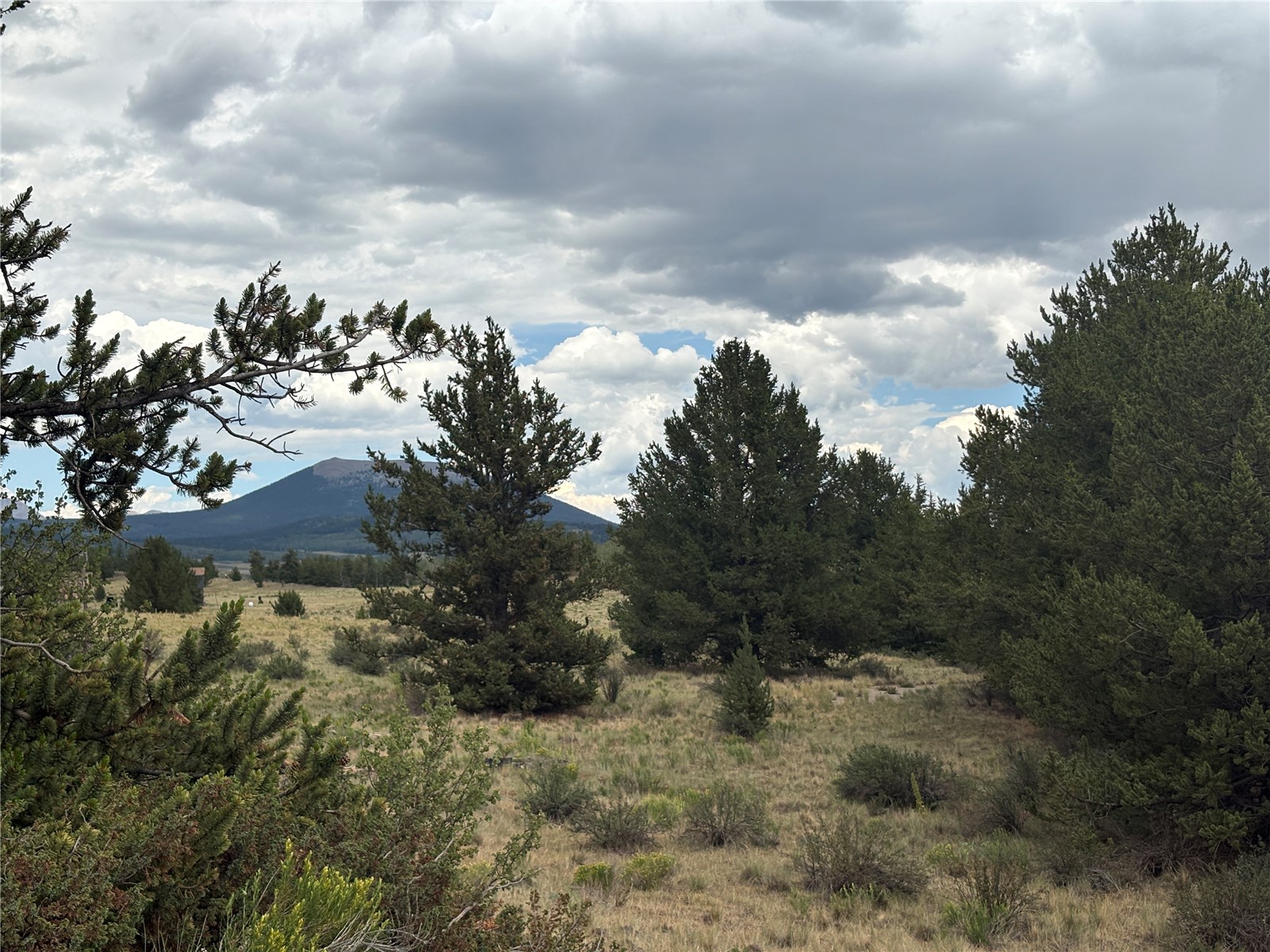 1344 Silverheels Road Fairplay CO 80440