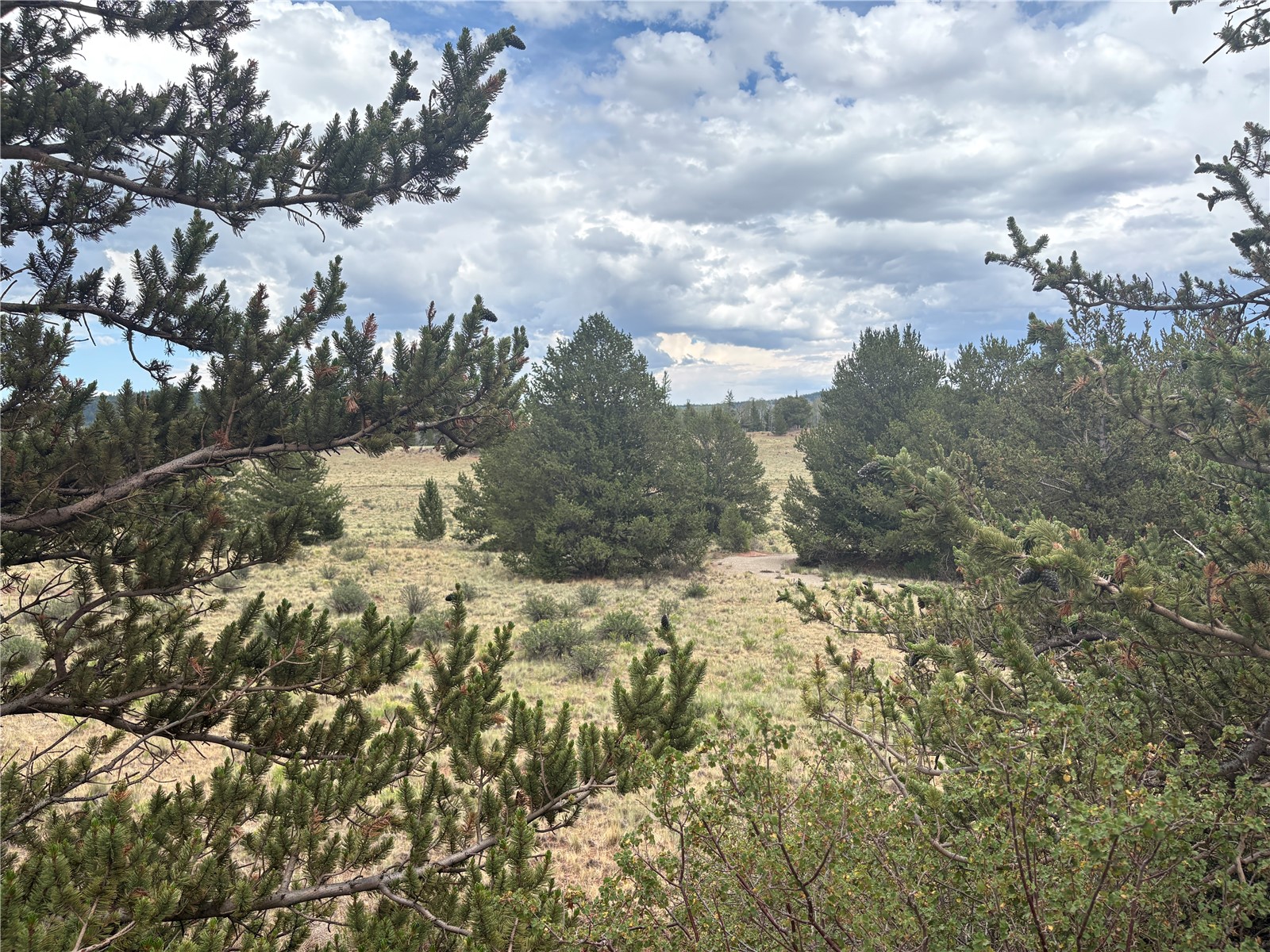 1344 Silverheels Road Fairplay CO 80440