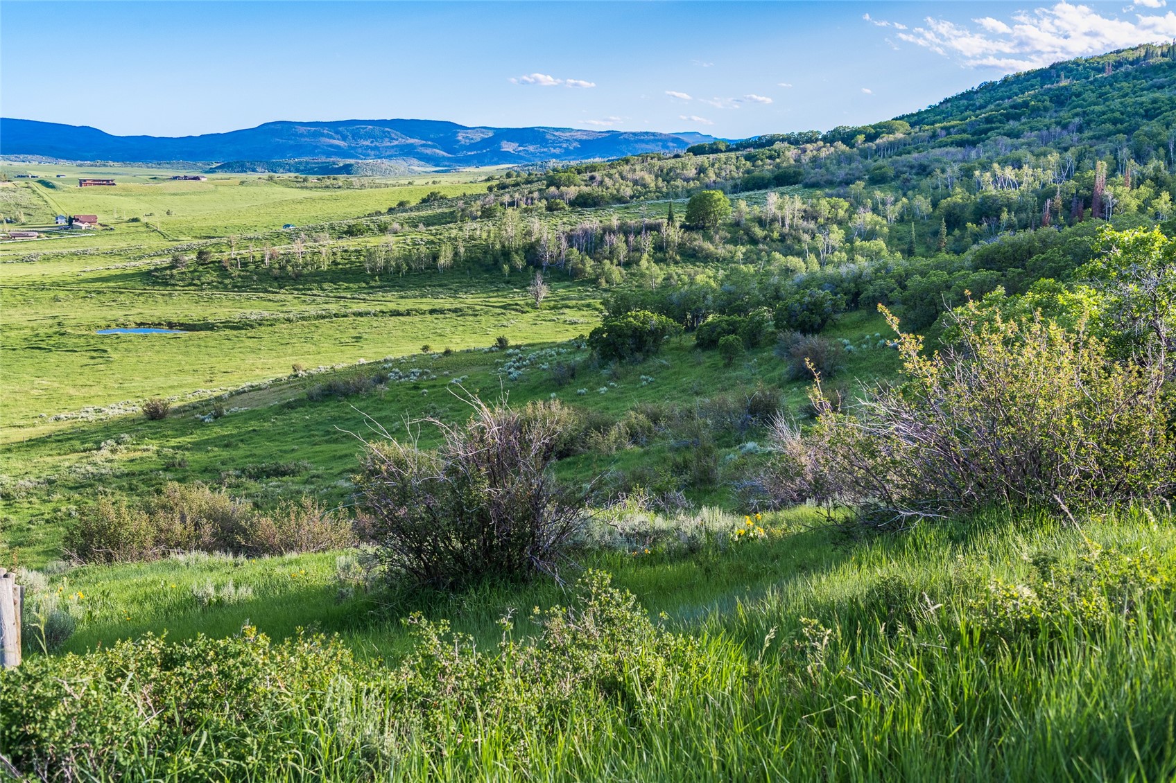 34640 Country Green Road Steamboat Springs CO 80487