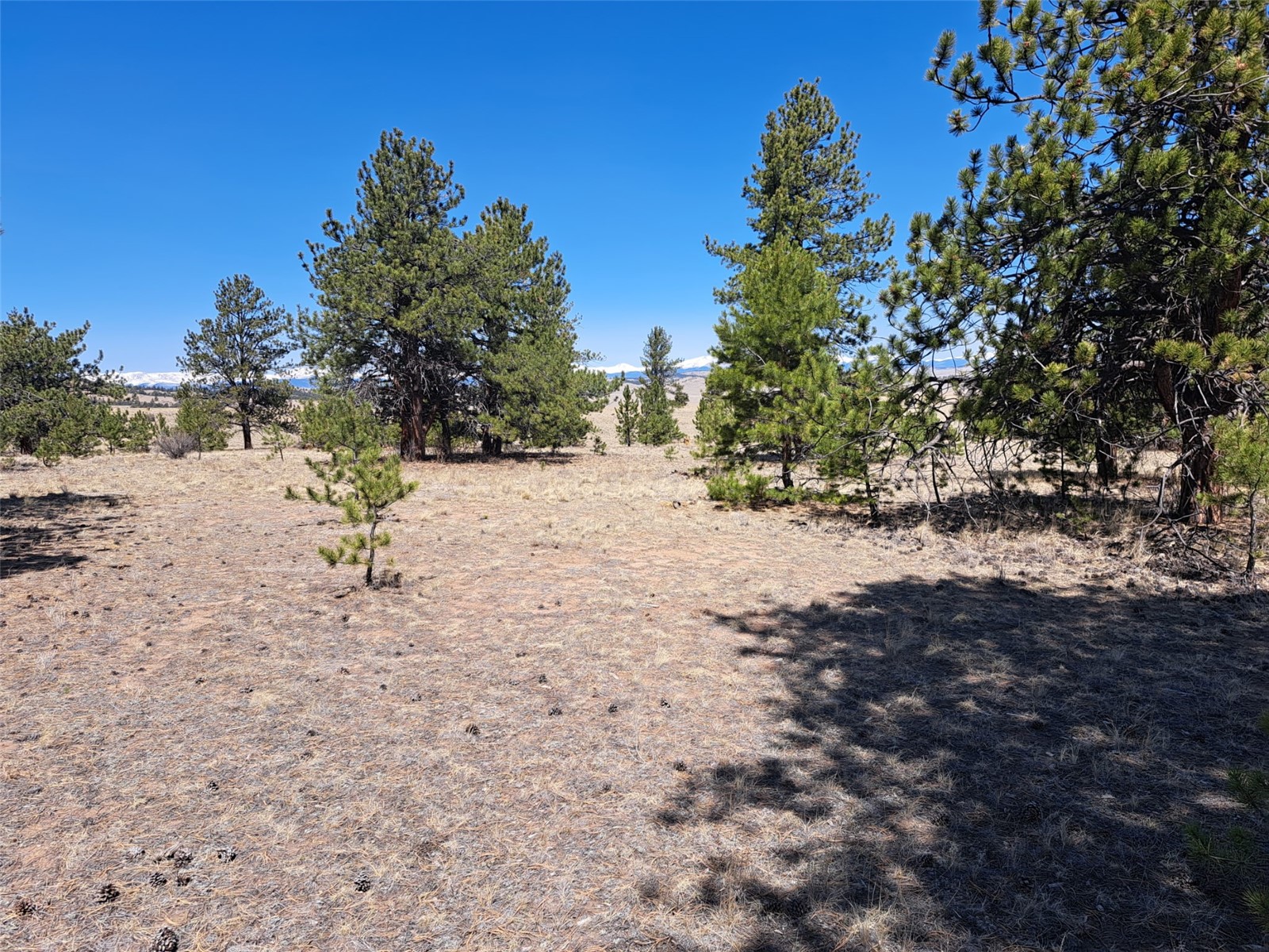 235 Maricopa Trail Hartsel CO 80449