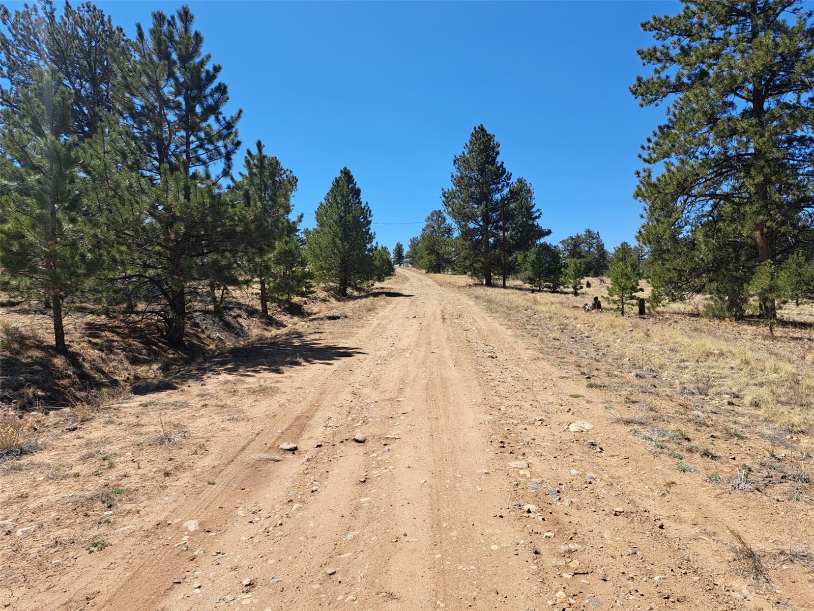 235 Maricopa Trail Hartsel CO 80449