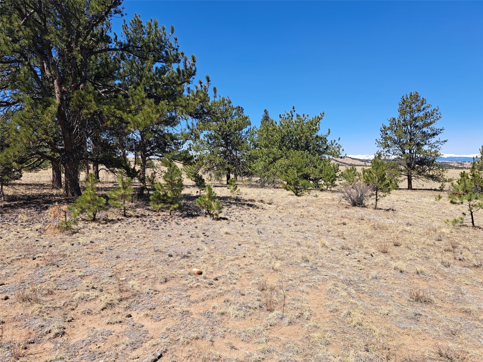 235 Maricopa Trail Hartsel CO 80449