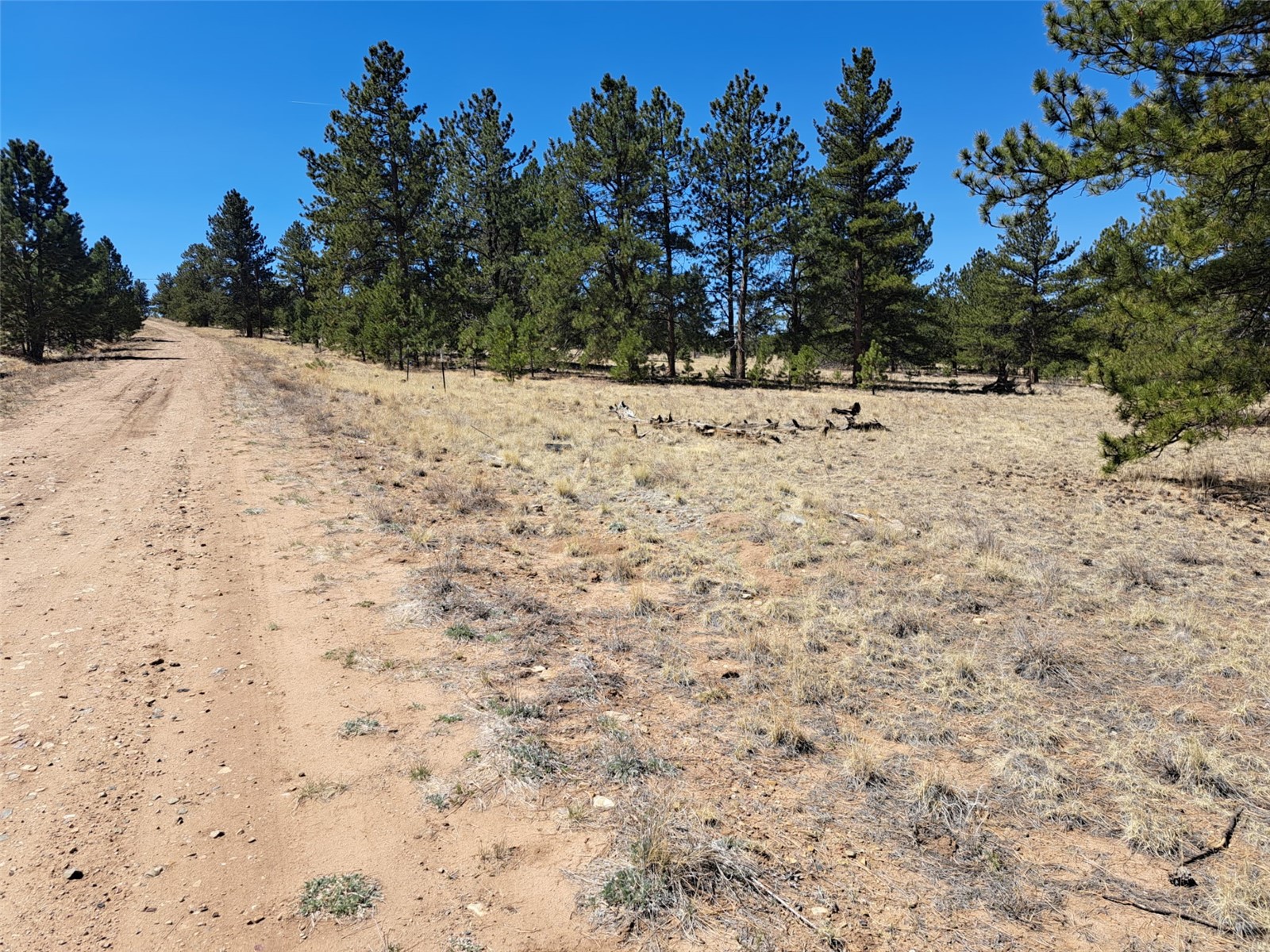 235 Maricopa Trail Hartsel CO 80449