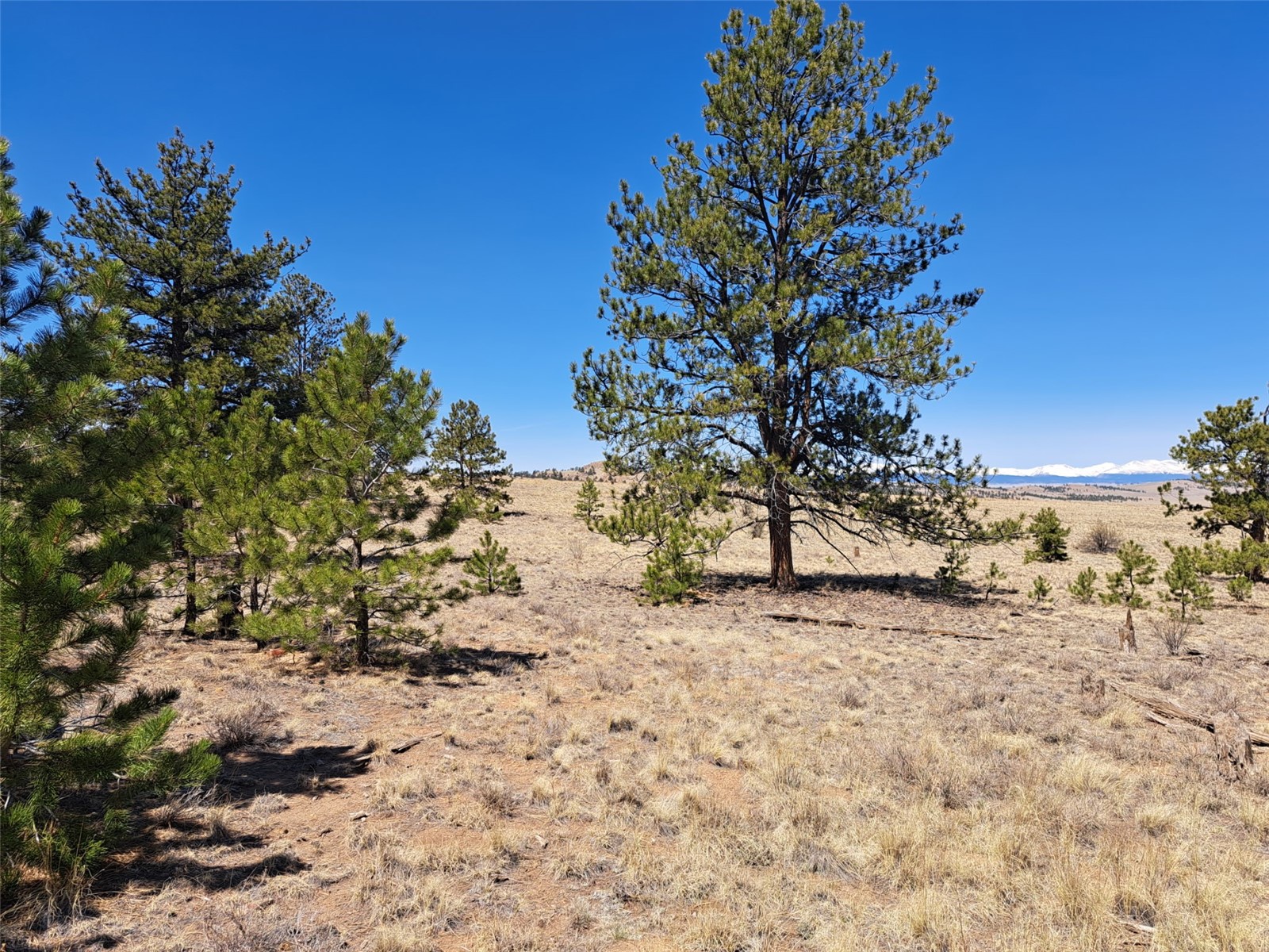 235 Maricopa Trail Hartsel CO 80449