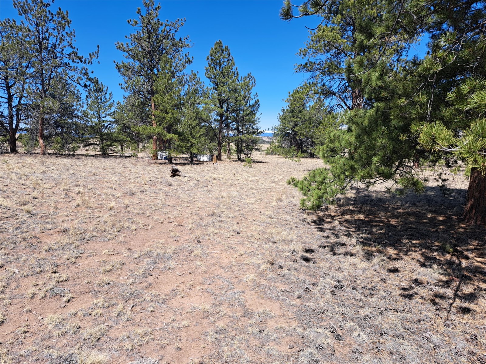 235 Maricopa Trail Hartsel CO 80449