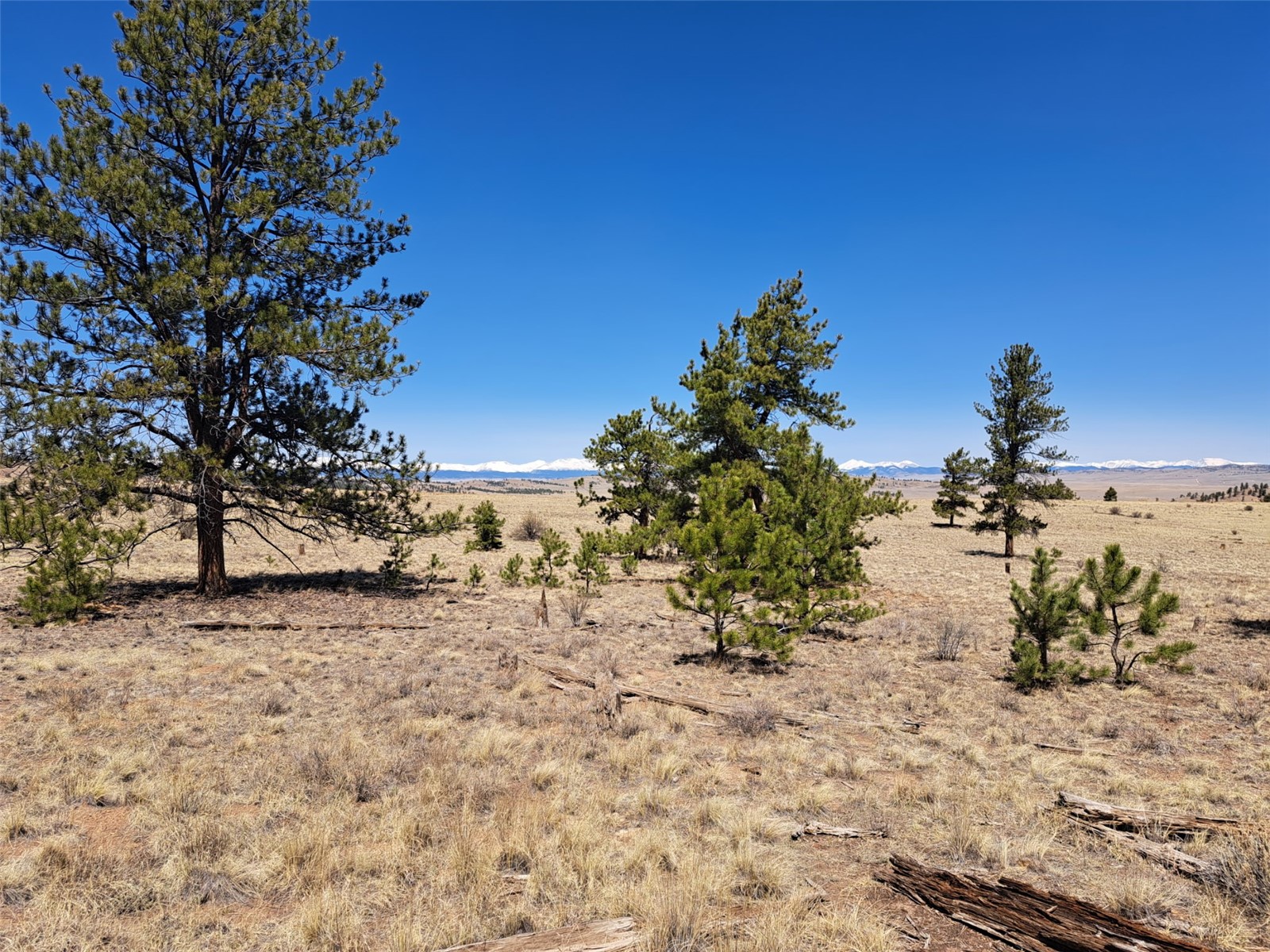 235 Maricopa Trail Hartsel CO 80449