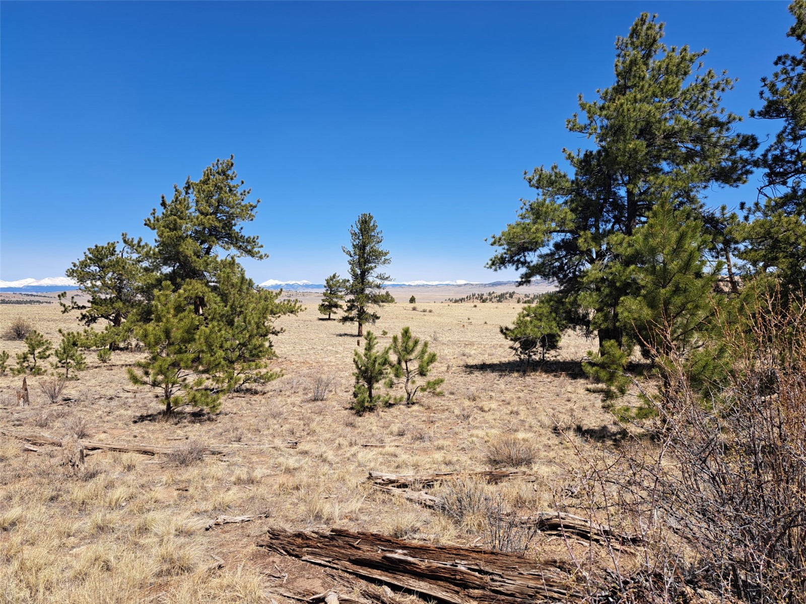 235 Maricopa Trail Hartsel CO 80449