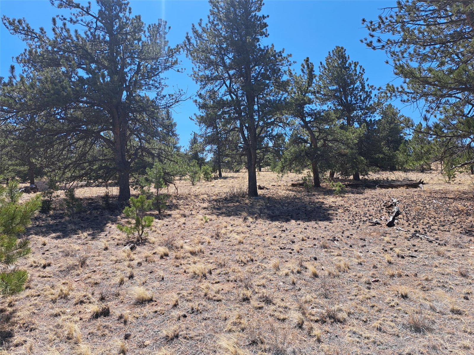 235 Maricopa Trail Hartsel CO 80449