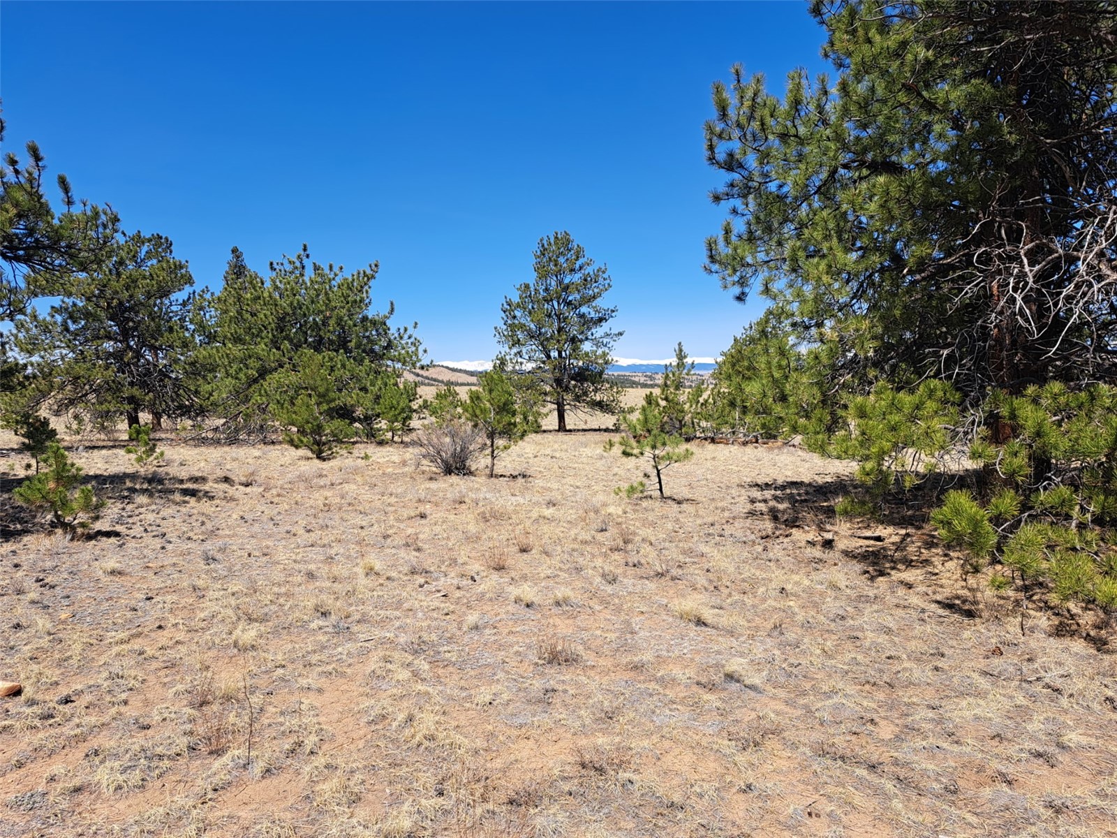 235 Maricopa Trail Hartsel CO 80449