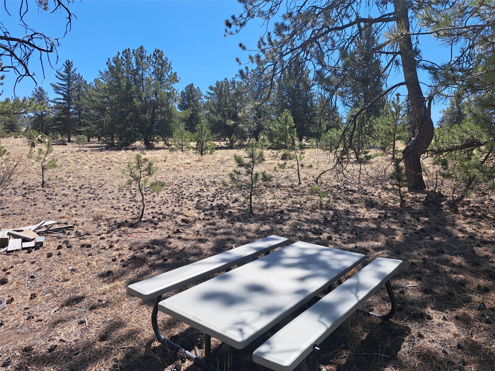 235 Maricopa Trail Hartsel CO 80449