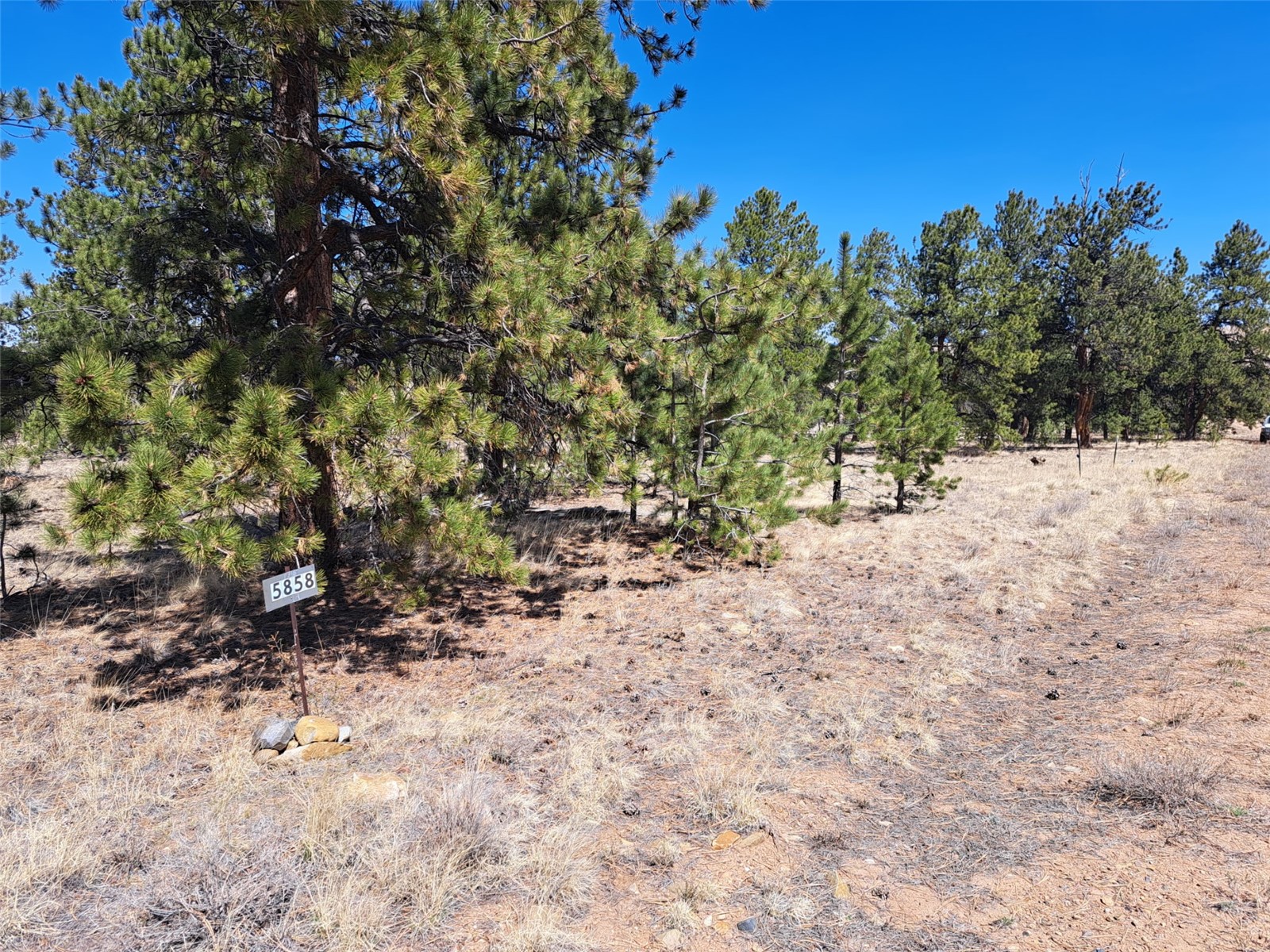 235 Maricopa Trail Hartsel CO 80449