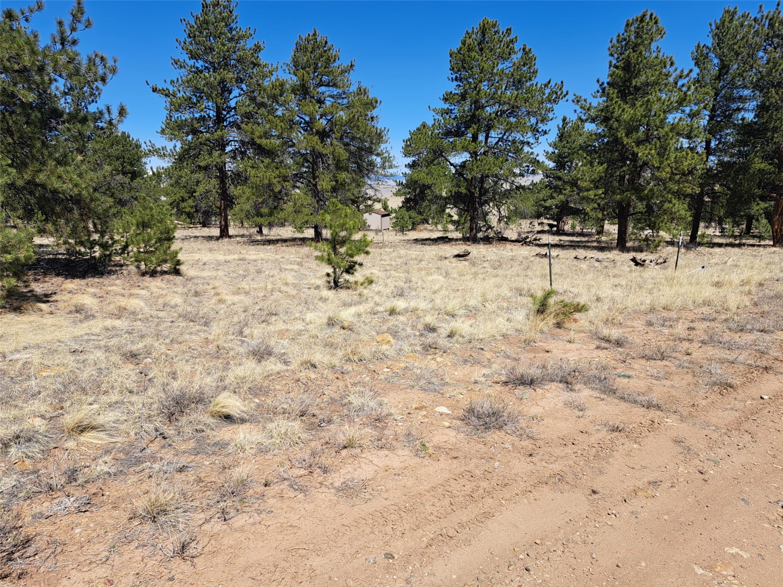 235 Maricopa Trail Hartsel CO 80449