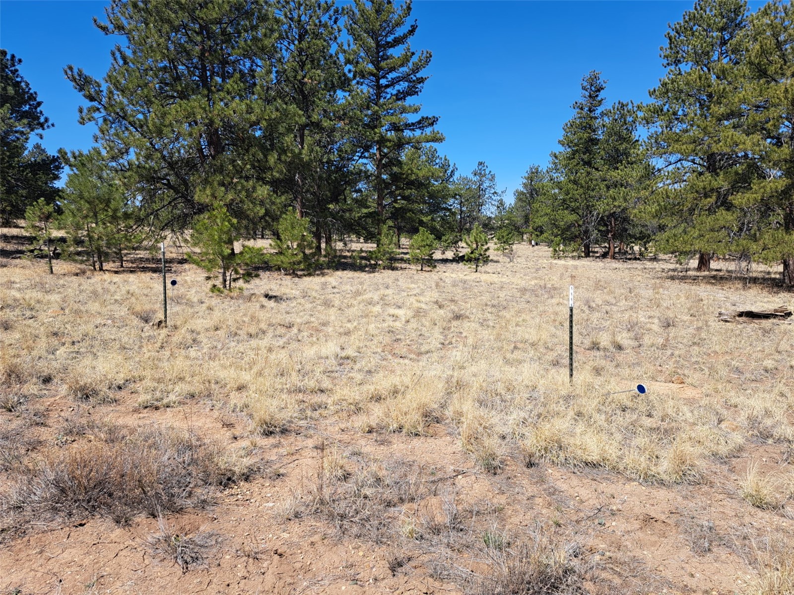 235 Maricopa Trail Hartsel CO 80449