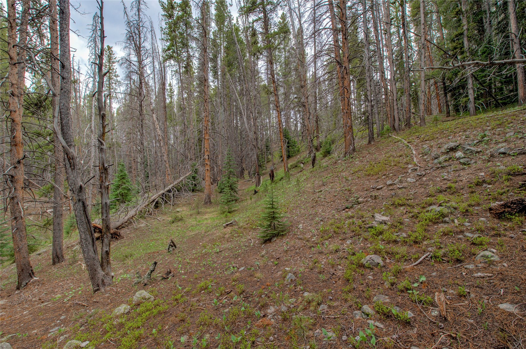 525 Gold King Way Breckenridge CO 80424
