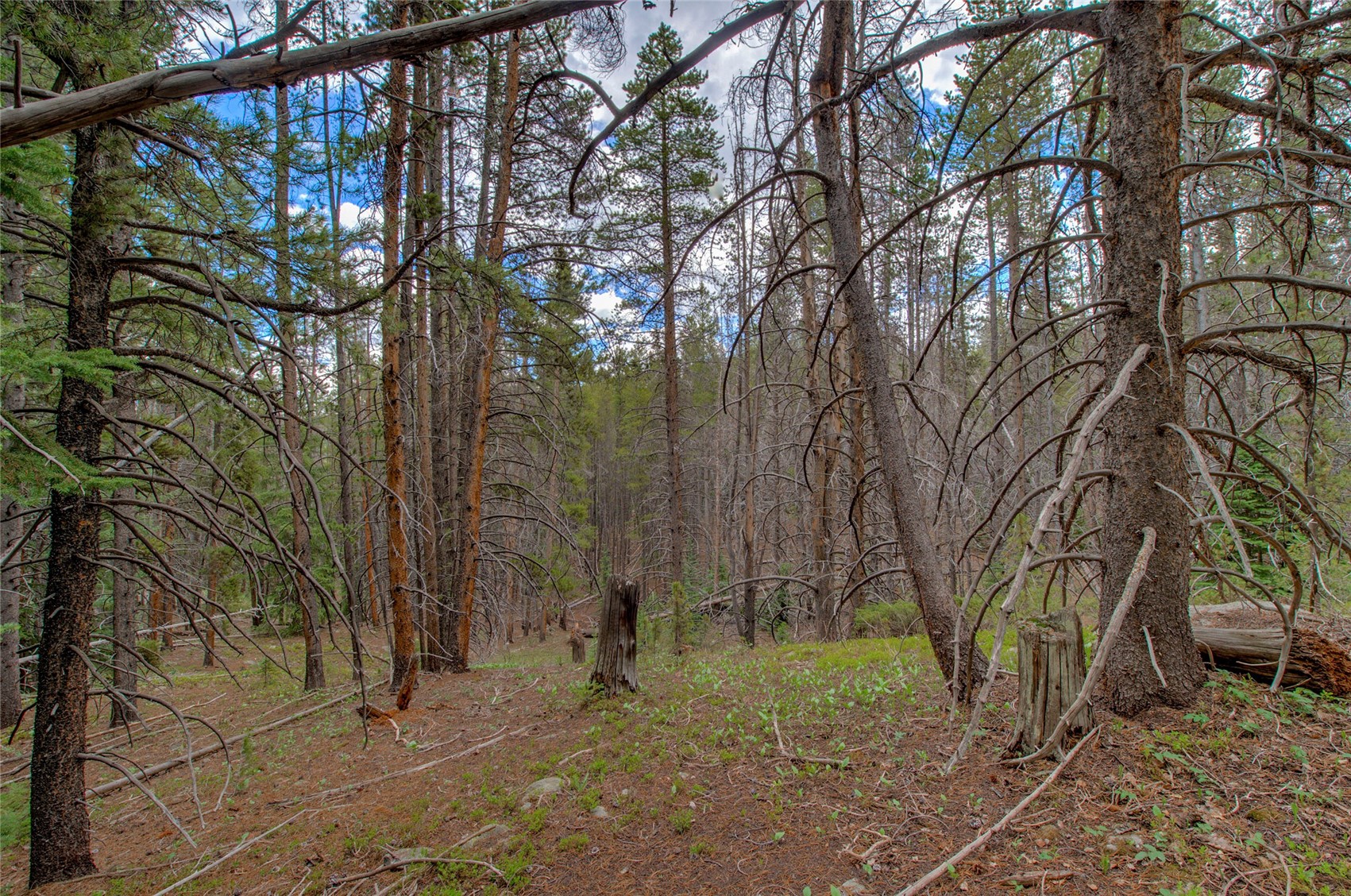 525 Gold King Way Breckenridge CO 80424