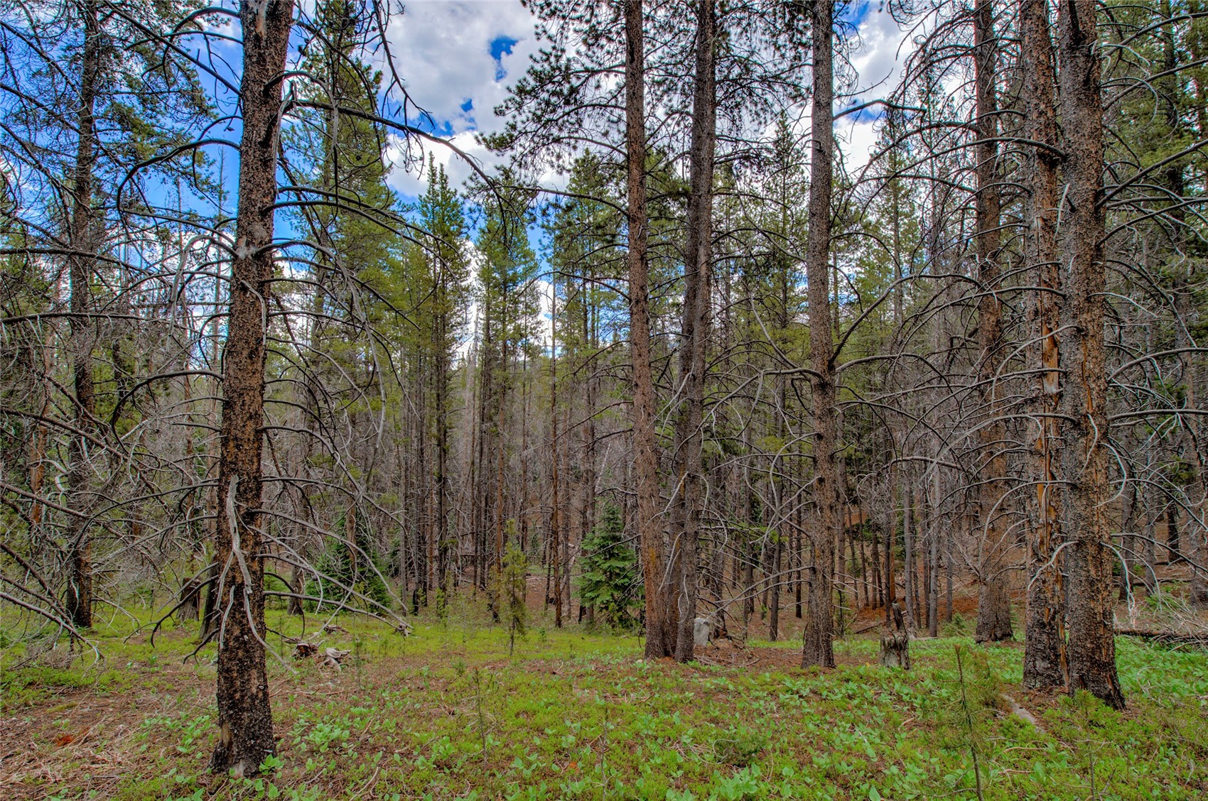 525 Gold King Way Breckenridge CO 80424