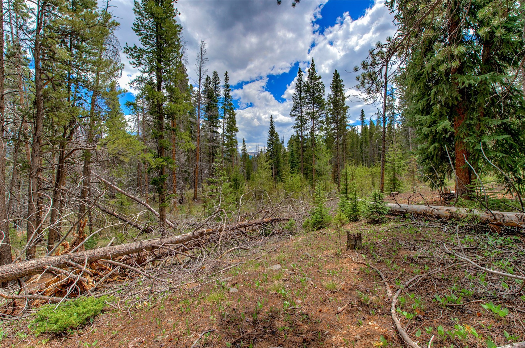 525 Gold King Way Breckenridge CO 80424